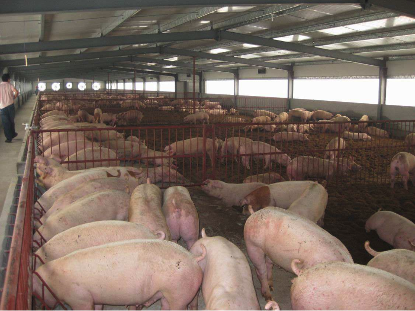 1633999553558968.png 1009 (6).png