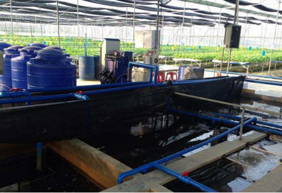 1634091418900813.png image.png