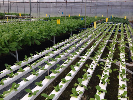 1634091445199354.png image.png