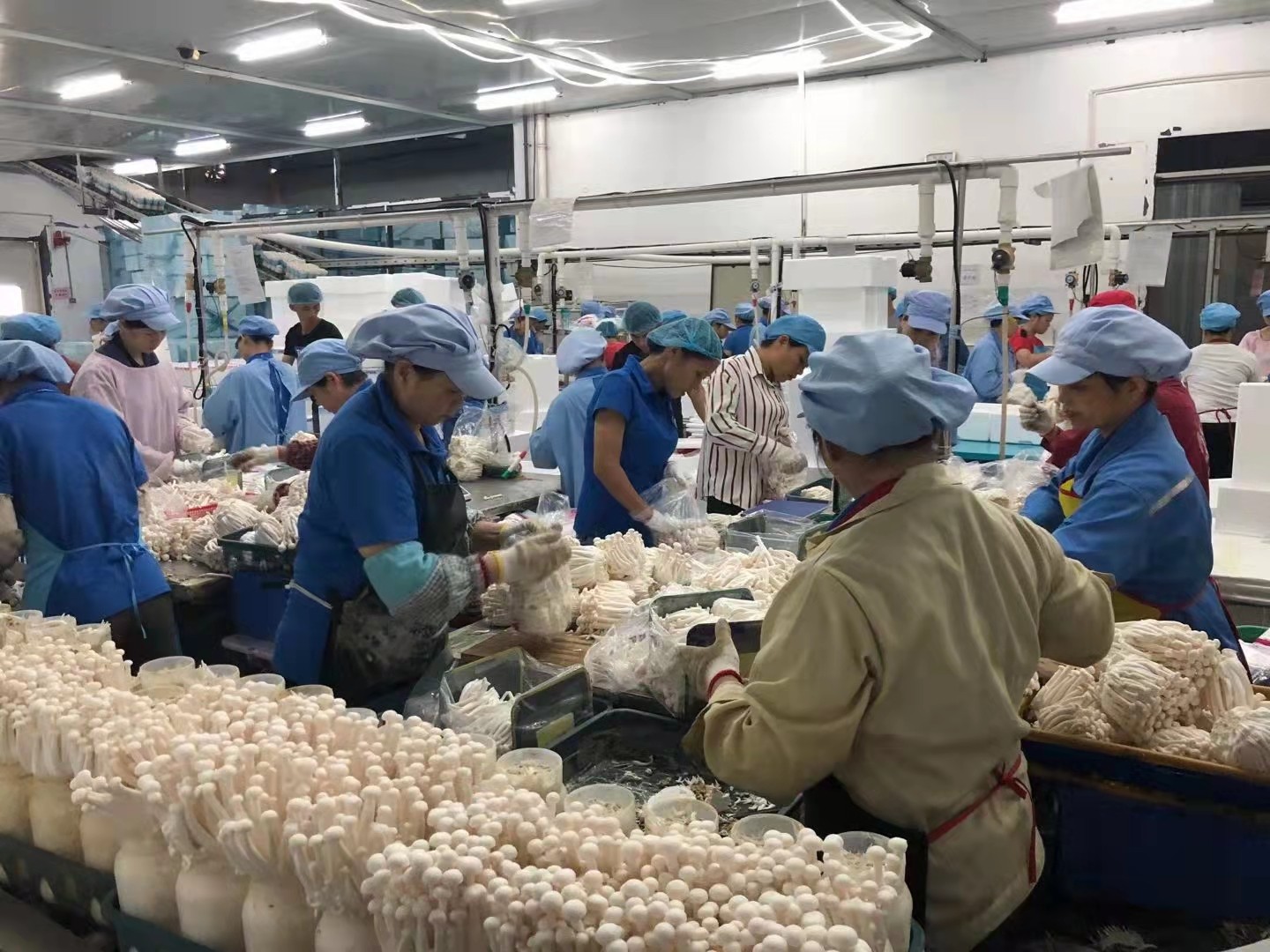 1645063545777637.jpg bed1538a480d840ba70b4911c7834e8.jpg